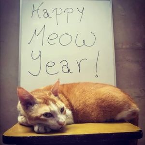 Meet your Posher, Dp